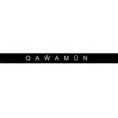 QW̄N Logo